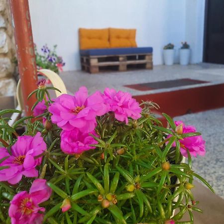 Apartman Bake Milke Senj  Extérieur photo