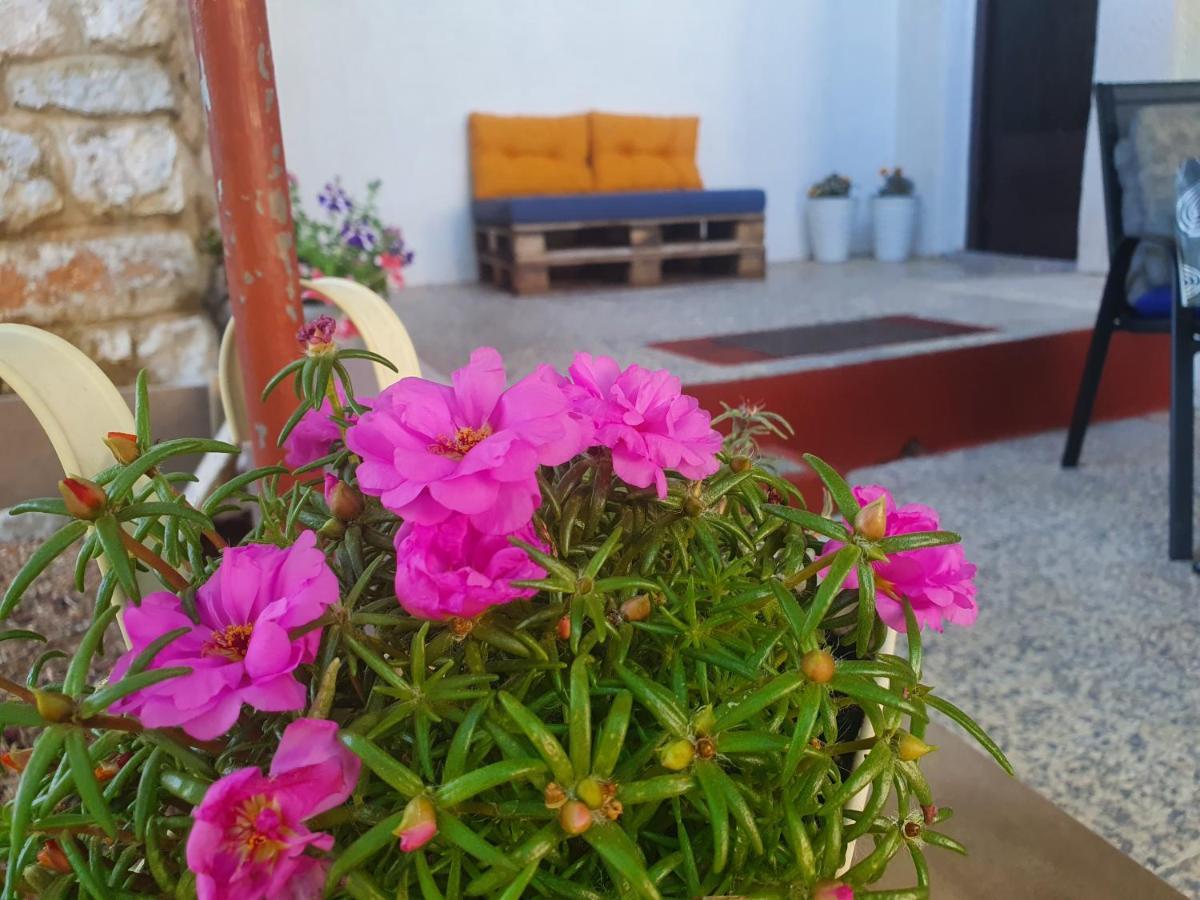 Apartman Bake Milke Senj  Extérieur photo